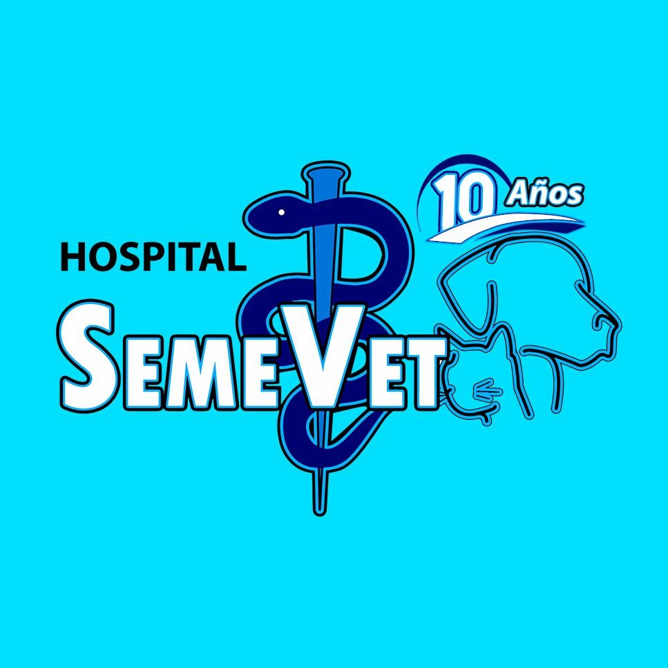 422186793_892253182307206_5717605113915634114_n